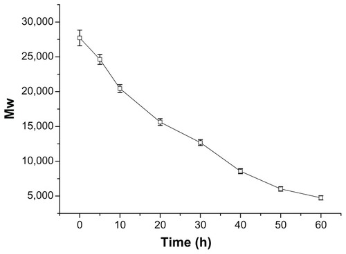 Figure 4 Degradation of P123-polyethylenimine-R13. The polymers were dissolved in 0.1 M phosphate-buffered saline (pH = 7.4) and incubated at 37°C and 100 rpm. Determination of molecular weight (MW) was measured by gel permeation chromatography with multiangle laser light scattering (n = 3).