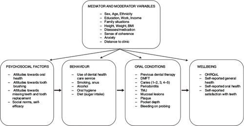 Fig. 2.  Theoretical model of variables measured in the TOHNN study.