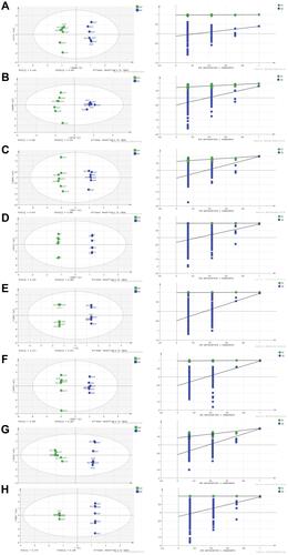 Figure 3 Orthogonal projections to latent structures (OPLS) scores and 200 permutation tests for the OPLS-discriminant analysis models: serum (A), colon (B), heart (C), liver (D), kidney (E), cortex (F), hippocampus (G), and brown fat (H).