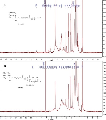 Figure 5 1H-NMR spectra of PE-MAH (A) and CMC-PE (B).Abbreviations: CMC, carboxymethyl chitosan; MAH, maleic anhydride; PE, phosphatidyl ethanolamine.