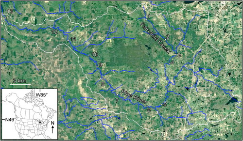 Figure 1. Location of the 13 sampling sites along the continuum of the Pine River. Sampling site numbers correspond to Table 1 and Table 2. White line approximates the border of the Pine River watershed. Base map © Google, TerraMetrics.