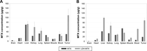 Figure 6 Biodistribution studies of MTX in each tissue of C33A orthotopic tumor-bearing mice treated with MTX (dark gray) and LDH-MTX (gray) for (A) 30 minutes and (B) 60 minutes after administration.Abbreviations: MTX, methotrexate; LDH-MTX, layered double hydroxide-methotrexate.