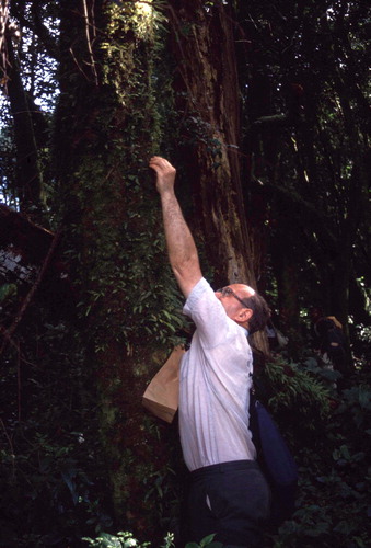 Figure 1. Martin in action, collecting a specimen during the Malawi expedition, Chisongoli, Mt Mulanje, 17 June 1991. Photograph by Ron Porley.