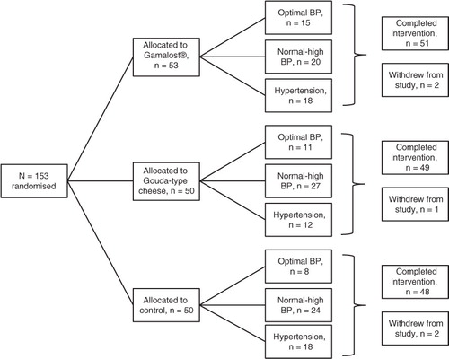 Fig. 1 Flow chart of a single-blinded, randomised, controlled trial of Gamalost® and Gouda-type cheeses and blood pressure in 153 Norwegian participants. BP, blood pressure.