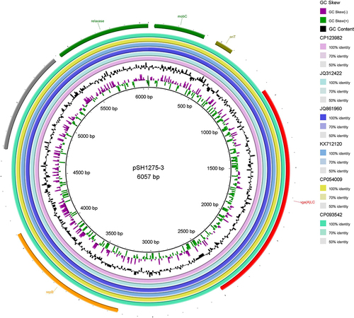 Figure 5 Comparison of plasmid pSH1275-3 of S. haemolyticus strain SH1275 and related Staphylococcus plasmids generated by the software program BRIG. The seven plasmids incorporated in the diagram generated by BRIG denote the S. haemolyticus strain SH1275 plasmid pSH1275-3 (CP123982), S. aureus strain C2355 plasmid pUR2355 (JQ312422), S. aureus strain C4128 plasmid pUR4128 (JQ861960), S. haemolyticus isolate 131A plasmid p131A (KX712120), S. hominis strain FDAARGOS_762 plasmid unnamed4 (CP054009), and S. hominis strain C5 plasmid unnamed3 (CP093542) from the inside out.