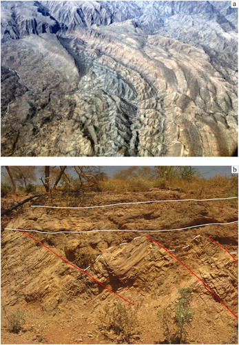 Figure 6. (a) Folds in the basement rocks located east of Tekeze River valley (in the background) around 13°29′N, 38°45′E; (b) domino faulting in basement rocks near Abi Adi village: the faults (in red) appear truncated by an angular unconformity (white) on the top.