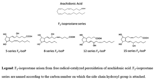 Figure 1. Chemical structures of arachidonic acid and F2-isoprostane series. Isoprostanes are named based upon the structure of the functional groups on the cyclopentane ring in a manner analogous to that of prostaglandins. F2-isoprostanes (F2-IsoPs) are F2-prostaglandin-like compounds formed from the free radical-catalyzed peroxidation of arachidonic acid (ARA). Based on the mechanism of formation, four F2-IsoP series are generated. The four F2-IsoP series are named (5, 8, 12, and 15 series) according to the carbon number on which the side chain hydroxyl group is attached, carboxyl carbon being 1. In the figure, chemical structure of ARA and F2-IsoP series are shown.