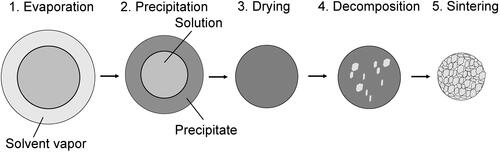 Figure 1. Thermal conversion of a droplet into an ash particle (Messing, Zhang, and Jayanthi Citation1993).