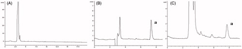 Figure 1. HPLC chromatograms of (A) the blank intestinal fluid, (B) the standard solution of verapamil and (C) the representative sample: (a) verapamil.