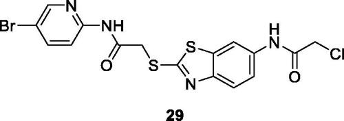 Figure 17. Substituted bromopyridine based acetamide benzothiazole derivative 29.