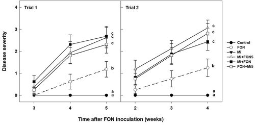 Fig. 2 Influence of Meloidogyne incognita (Mi) on the severity of wilt disease caused by Fusarium oxysporum f. sp. niveum (FON) race 2 in watermelon accession PI 296 341-FR. Mi+FON5: nematode inoculation followed by FON 5 days later; Mi+FON: nematodes and FON inoculated simultaneously; FON+Mi5: FON inoculation followed by nematode 5 days later. Error bars are standard errors of the means of four replications. Disease severity recorded at the end of each trial was statistically analysed. Treatments marked with different letters are significantly different at P ≤ 0.05.