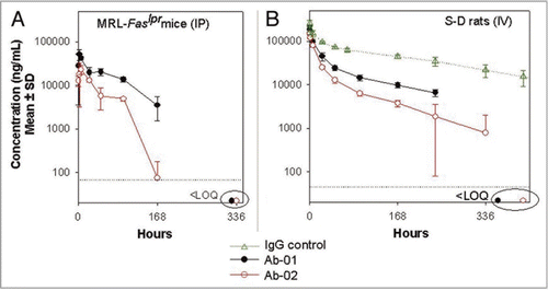 Figure 3 Serum concentration-time profiles of Ab-01 and Ab-02 following a single 10 mg/kg dose to MRL-Faslpr mice or Sprague-Dawley rats. Ab-01 (filled circles), Ab-02 (open circles), or an isotype control anti-human IL-13 antibody (open triangles in (B) only) were administered to ∼12-week old MRL-Faslpr mice (A, IPdose) or Sprague-Dawley rats (B, IV dose) and test article concentrations in serum were determined by ELISA, as described in the text. Individual concentration values below the limit of quantitation (LOQ of 33.4–66.8 ng/mL for anti-IL-21R antibodies and 132 ng/mL for an isotype control antibody) were treated as zero for calculations of the mean and standard deviation. Non-serial sampling design was used for mice (n = 6–9 per time point) and serial sampling design was used for rats (n = 4–6 per group). Time points at which all animals showed concentration values below the LOQ are indicated by ovals.