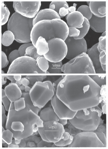 Figure 8 Magnified field-emission scanning electron microscope images for micronsize Fe and W powders. A Fe and B W.