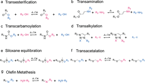 Figure 3. A variety of common covalent exchange reactions enable recycling in vitrimers [Citation46].