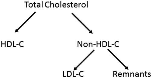 Figure 1. Relationship among total cholesterol, HDL-cholesterol, non-HDL-cholesterol, LDL-cholesterol, and remnants.