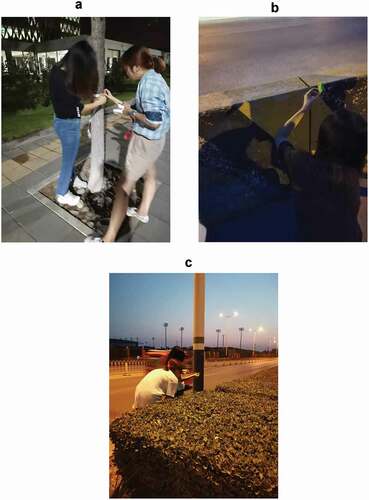 Figure 19. Outdoor tape measurement: (a) the street tree diameter measurement site; (b) the stone pier height measurement site; (c) the street lamp pole diameter measurement site