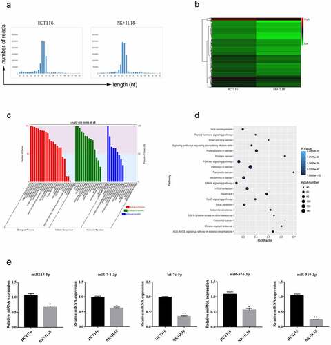 Figure 3. miRNA sequencing from HCT116 cells before and after NK cells coculturing and IL-18 treatment