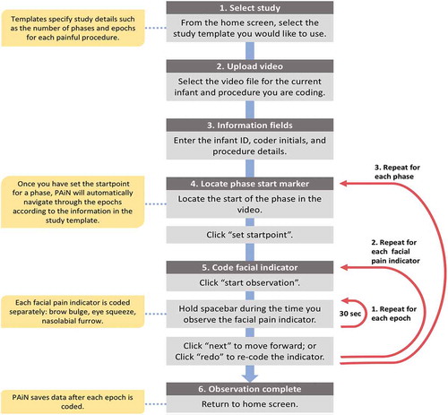 Figure 1. The infant pain indicator coding process in the PAiN software.