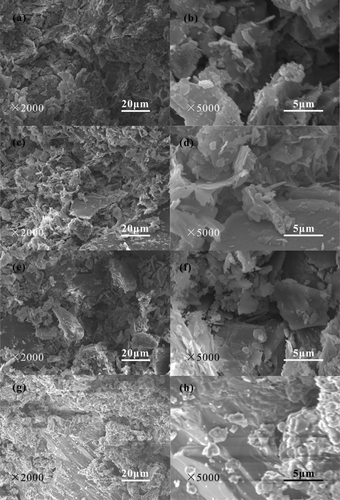 Figure 7. SEM images of the ceramsites obtained from different temperatures for 30 min. (a) and (b) 700°C, (c) and (d) 800°C, (e) and (f) 900°C, (g) and (h) 1000°C