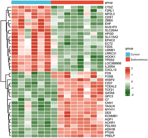 Figure 2 Map of gene heat. Green and red respectively highlight the genes that are up-regulated (logFC > 0) and down-regulated (logFC < 0), while white highlights the absence of significant differences. The first 6 samples were from healthy volunteers; the last 8 samples were from endometriosis patients.