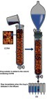 Figure 2 The diagram of the dynamic loading drug process.Abbreviation: CCPM, carboxymethyl chitosan nanoporous microspheres.