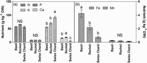 Figure 2. Mineral content (N, P, K, Ca, Fe, Mn) in the edible part (shoots) of basil, Swiss chard and rocket microgreens grown in a hydroponic system.