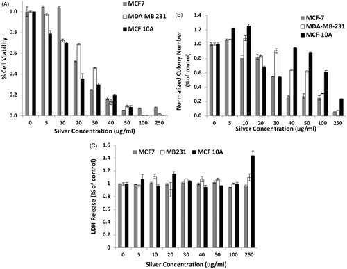 Figure 8. Cell viability of the breast cancer cell lines incubated for 10 min only with increasing concentrations of silver, and infrared light exposure for 60 s. Cell viability was determined to be 100% for the control population of each cell line not exposed to either silver nanoparticles or infrared light, and the fractional viability is what is presented in this plot. (A) MTS assay results of cell viability measured 24 h after photothermal treatment. At 5 and 10 μg/mL, MCF7 cells have a slight increase in cell proliferation compared to the control. As the concentration of Ag NP increases, there is a decrease in the number of viable cells after exposure to 800 nm light. A small percentage of MCF7 cells remains viable after photothermal treatment at the highest concentrations of 100 and 250 μg/mL. (B) Clonogenics assay results show that at low concentrations of Ag NP, 5 and 10 μg/mL, MCF 10A cells had a higher percentage of colonies formed compared to cells without Ag NP and laser exposure. There is a decrease in the number of colonies formed for MCF7, MDA-MB-231 and MCF 10A cell lines as the Ag NP concentration increases. For concentrations of 40 μg/mL and higher, the MCF 10A cells have a statistically greater number of colonies forming 12 days after photothermal treatment compared to the MCF7 and MDA-MB-231 cell lines. (C) The amount of LDH released from cells 24 h after photothermal treatment using Ag NP does not show much of an increase until 250 μg/mL of Ag NP. At this concentration, both MDA-MB-231 and MCF 10A cells have an increased release of LDH, whereas MCF7 cells have a constant level of LDH released among all the concentrations of Ag NP evaluated.