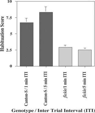 Figure 1 Habituation of the olfactory jump reflex is defective in the fickle mutant. Wild-type Canton-S (Can-S, gray bar) and fickle (light gray bar) flies were subjected to the olfactory jump reflex habituation assay (see MATERIALS AND METHODS). The mean (± SEM) Habituation Scores for mutants were significantly lower than those for wild-type flies after training with either a 1-min (p < 0.001; n = 59 and 73 for fickle and Can-S, respectively) or a 5-min ITI (p < 0.001; N = 61 and 59 for fickle and Can-S, respectively).