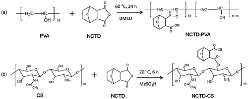 Figure 1. Synthesis of NCTD-PVA (a) and NCTD-CS (b).