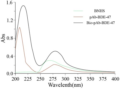 Figure 7. The UV spectra of BNHS, pAb-BDE-47 and bio-pAb-BDE-47.