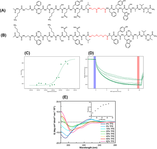 Figure 1 In vitro SAR studies of KIRCONG chim PEG. Schematic chemical structures of (A) KIRCONG chim and (B) KIRCONG chim PEG. β-Ala and PEG structures are highlighted in red. (C) Binding isotherm and (D) thermophoretic traces for MST signals versus KIRCONG chim PEG concentrations. (E) Overlay of CD spectra of KIRCONG chim PEG at indicated at indicated 2,2,2-Trifluoroethanol (TFE) percentages, inset Θratio value vs TFE %.