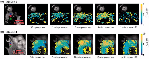 Figure 11. Transient evolution of spatial temperature profiles during and after (A) 5 min and (B) 15 min microwave exposure in vivo with 20 W input power.