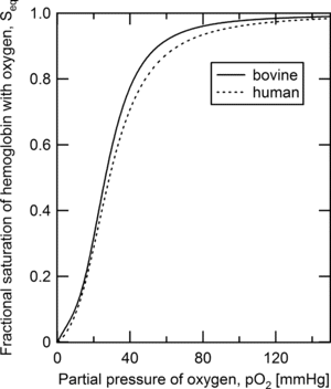 Figure 4 Oxygen-hemoglobin equilibrium binding curves for bovine and human red blood cells predicted from the Adair constants presented in Tables 1 and 2.