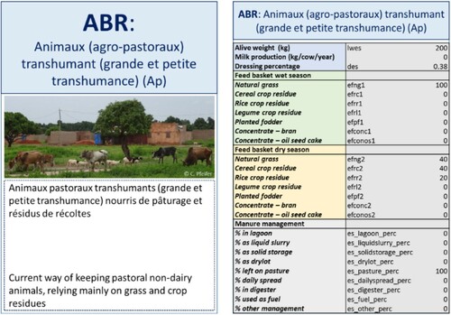 Figure 3. Example of a vignette card showing the title and illustration on the front (left) and the CLEANED-R parameters on the reverse side (right).