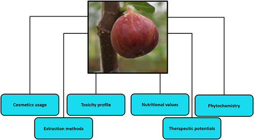 Figure 3 Key properties and findings on F. carica included in this review.