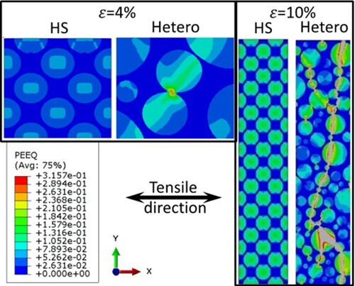 Figure 11. Distribution of local equivalent strain (PEEQ) in the harmonic structure (HS) and heterogeneous (Hetero) materials with 40% UFG fraction at uniaxial tensile strain levels ε = 4% and ε = 10%. Note, at ε = 4% high-magnification areas are shown to illustrate local strain gradients, while at ε = 10% low-magnification areas are shown to cover the entire specimen cross-section with a global crack in Hetero.