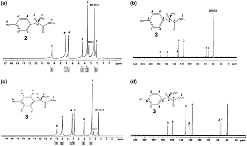 Figure 2. 1H-NMR (400 MHz) spectrum of compounds (a) 2, (c) 3, and 13C-NMR (125 MHz) spectrum of compounds (b) 2 and (d) 3 in DMSO-d6 at RT.