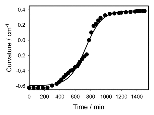 Figure 4. Time variation of a curvature during the trap opening after mechanical stimulation during continuous illumination. Dots are experimental points; solid line was estimated from Equationequation (4)(4) tmax=ts−2τalog(τr4τa+1−12τrτa)(4) .