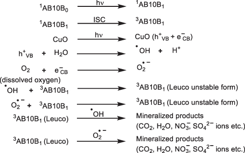 Scheme 1 Mechanism pathway of the degradation of AB10B dye.