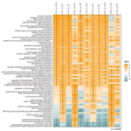 Figure 4 Gene set enrichment analyses. Ranking of the biological processes that are among the top 30 enriched in at least two datasets based on Normalized Enrichment Scores (NES). NES scores span from −2 to 3, where negative scores define underrepresented GO terms (green) and positive scores define overrepresented GO terms (Orange). Color intensity correlates with NES score. Significantly regulated biological processes are labelled with an asterisk (*).