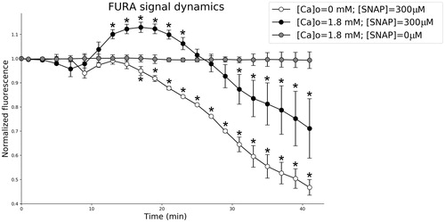 Figure 3. Fura-signal dynamics. Normalized fluorescence: in conditions of 300 μmol/L SNAP (^), n = 21; in conditions of 1.8 mmol/L [Ca2+]o (•), n = 20; in conditions of 1.8 mmol/L [Ca2+]o and 300 μmol/L (SNAP), n = 21 (•); *p < .05. Note: Grey circles (•) show the baseline level of fluorescence recorded for 40 min without SNAP application (control conditions).