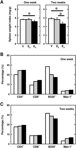 Figure 4.  Effect of E3 and E2 on spleen weight and lymphocyte populations in naïve mice. (a) Spleen wet weight change after 1 or 2 weeks of E3 or E2 treatment (five mice per group). The spleen weight index refers to ratio of spleen wet weight to whole animal body weight. (b) Spleen cell populations after 1-week estrogen treatment. (c) Spleen cell populations after 2-week estrogen treatment. Female BALB/c mice were implanted with a small pellet containing 10 mg E3 or 1 mg E2 for 2 weeks. Three spleens from each treatment group were then pooled for preparation of splenocytes, that were, in turn, stained with fluorescence-labeled antibodies and subjected to flow cytometry. The experiment was repeated twice and similar results were obtained; a representative data set is shown. Group labels: the open bar (V) = mice treated with vehicle only, the light shaded bar (E2) = mice treated with E2, and the black bar (E3) = mice treated with E3. * p < 0.05.