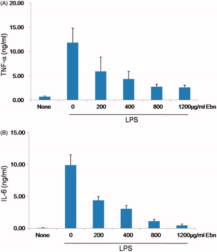 Figure 3. Effect of Ebn on TNF-α and IL-6 production in LPS-induced RAW264.7 macrophage cells. Cells were pretreated with Ebn in a dose-dependent manner for 1 h, and they were then exposed to 1 µg/mL LPS in serum-free conditions for 24 h. TNF-α and IL-6 production was measured by ELISA.