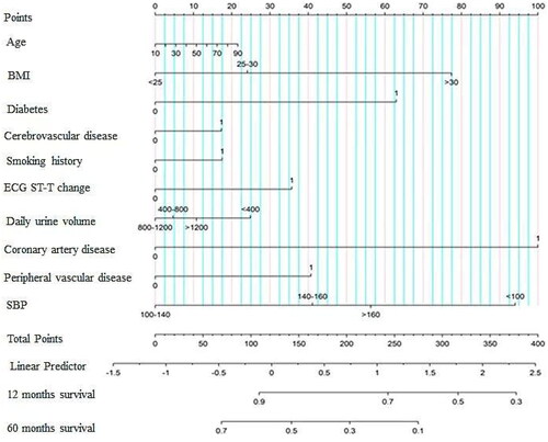 Figure 5. Nomograms based on heart failure endpoints. The nomogram was quantified according to the weights of the variables selected by the model. BMI: body mass index; ECG: electrocardiograph; SBP: systolic blood pressure.