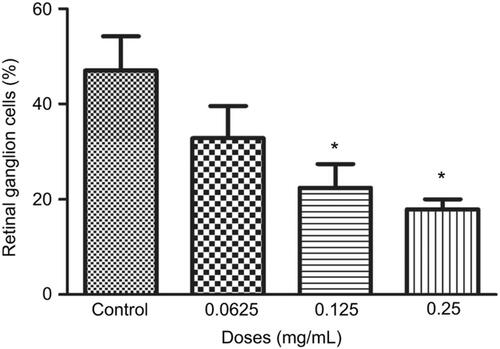 Figure S4 Percentage of retinal ganglion cells (RGCs) under different concentrations of ranibizumab. The percentage of RGCs significantly decreased at the clinical dose (0.125 mg/mL) and double the clinical dose (0.25 mg/mL) of ranibizumab at 48 hrs. Data are expressed as means±SD. n=3*p<0.04 compared with control.