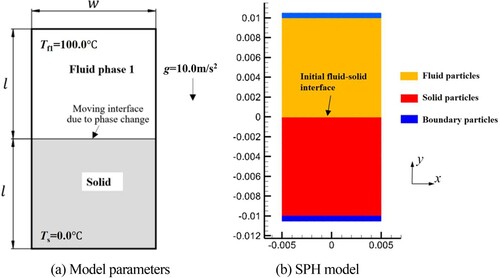 Figure 9. Model parameters and SPH model (benchmark example 2).