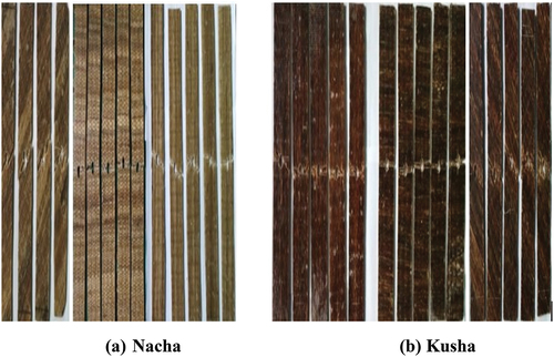 Figure 21. Tensile strength test specimens of Kusha and Nacha after testing.