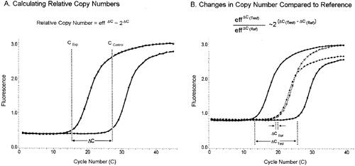 Figure 2. Real-time PCR-based with regard quantifying (Adapted from Bernard PS et al.) [Citation15].