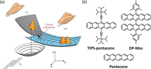 Figure 4. (a) A schematic illustration of a conical intersection between S1 and 1TT PESs in SF dynamics. Adapted from [46], copyright 2015 Springer Nature. (b) Structures of molecular systems reported to exhibit conical intersection dynamics