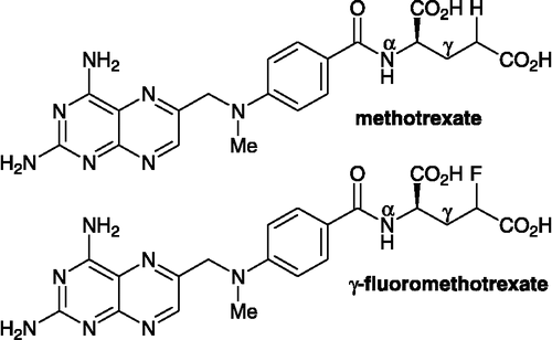 Figure 6 Chemical structure of methotrexate and γ-fluoromethotrexate that has lower toxicity due to the strongly electronegative fluorine atom.